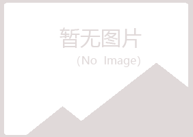 鹤岗东山孤丝化学有限公司